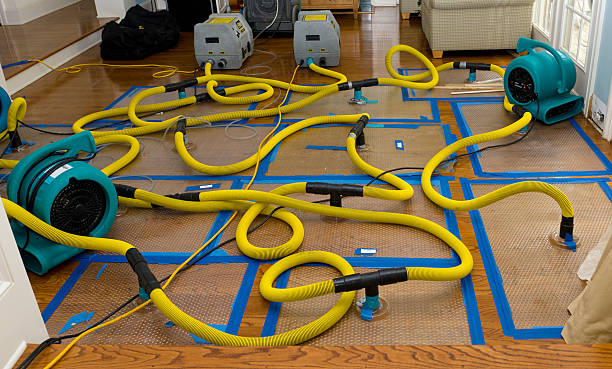 Professional Storm Water Damage Restoration technician working in Danville, AL